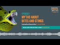 Animal Bites and Stings Myths 🕷️🐍 | Merck Manuals Medical Myths Podcast