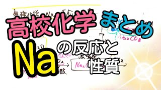 【高校化学】Naの性質と反応のまとめ