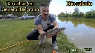 Pesca de taruchas en General Belgrano// volvieron las tarus al rio salado !!