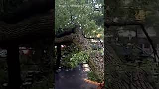 Heavy rainfall, thunderstorms bring flooded roadways, downed trees in New York City