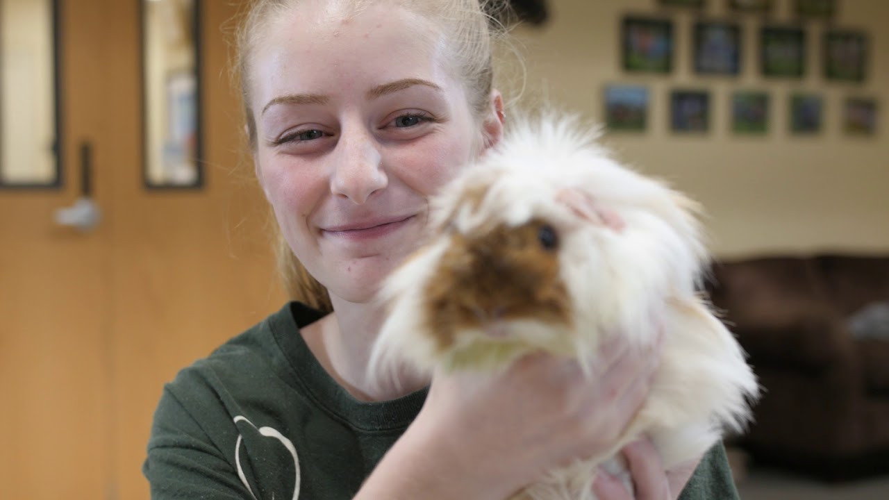 Bhs S Humane Education Program Youtube