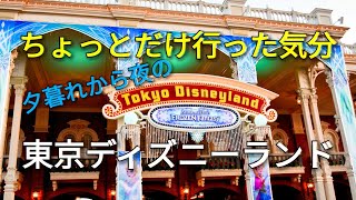 【フローズンファンタジー二週目の土曜日★ちょっとだけ行った気分】プチ閑散期★東京ディズニーランド★TOKYO DISNEYLAND 2018/1/20