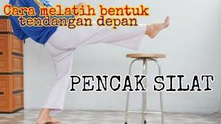 Cara melatih tendangan depan pencak silat | latihan silat dirumah