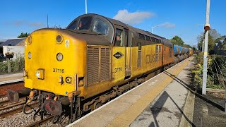 37254 & 37116 York Based RHTT October 2024