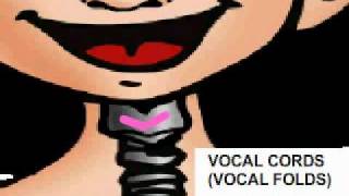 How the voice works (Kids)