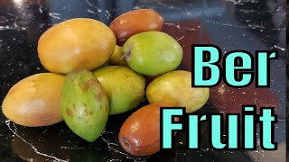 Indian Jujube Review (Ziziphus mauritiana)  - Weird Fruit Explorer Ep 303