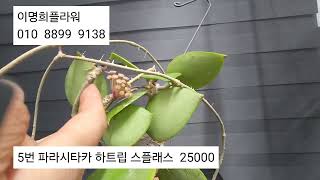 2024.4.30  이명희플라워  010  8899  9138