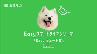 ラジオCM　Easyスマートライフシリーズ Easyキュート篇