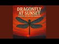 Dragonfly At Sunset