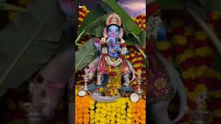 Happy Vinayaka Chavithi To All #madanapallitimes #madanapalle #madanapalli #vinayakachavithi #viral