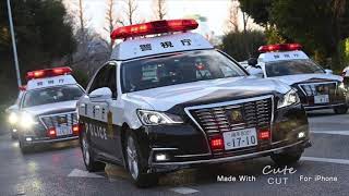 「きらり」と列島警察が似ている件