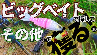 《バス釣り》ビッグベイトで探せれない！出てこない！どうするよ😱