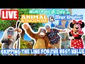 🔴Live: Multi-Pass Day at Animal Kingdom & Magic Kingdom - New Corn Dog - Disney World Livestream