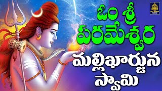 శ్రీశైల మల్లిఖార్జున స్వామి సాంగ్స్ | Lord Shiva Songs | మల్లన్న స్వామి భక్తిపాటలు| Sri Durga Audio