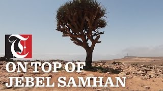 On Top of Jebel Samhan