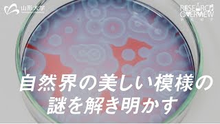 【山形大学】研究紹介2018：並河英紀(物理化学/理学部担当)