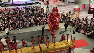 All the Lion Dance Performances at One Punggol's CNY Celebrations Event!