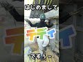 トレーラーダンプの塗装に挑戦♪【第二話】