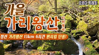 오지의 명품 산 가리왕산 제왕의 산│이끼계곡이 장관을 이루는 곳│장구목이-가리왕산-중봉-단풍길 13km코스│주목과 어루러진 환상적인 단풍!│등산ㅣ단풍절정 추천코스