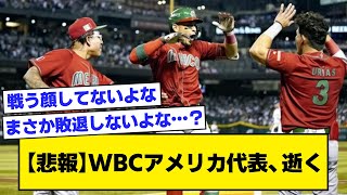 【悲報】WBCアメリカ代表、逝く【なんJ反応】