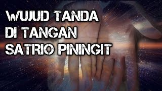 WUJUD TANDA DI TANGAN SATRIO PININGIT