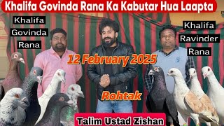 Kabutar Laapta KHALIFA GOVINDA RANA Ji ke || Aakhri kri 12 February 2025 ko || kabutar Gaayab Hogya