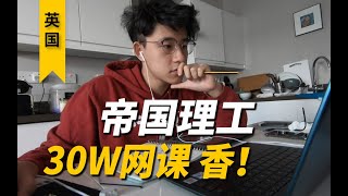 英国【帝国理工】网课日常 我也成了铲屎官