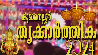 കുമാരനല്ലൂർ തൃക്കാർത്തിക2024 #kumaranalloor#thrikkarthika#kumaranalloorthrikarthika#devitemple