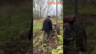 Мотоблок Kubota RT плуг, дисковый плуг, борона, грунтозацепы 270.000 с прицепом 370.000₽ #мотоблок