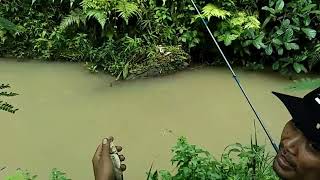 Sungai belakang bengkel ada lele monster 😱# Siboen mancing