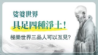 法華經講義(三) 017 諸佛的淨土 林正慈老師