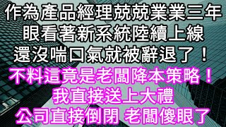 作為產品經理兢兢業業三年眼看著新系統陸續上線還沒喘口氣就被辭退了！不料這竟是老闆降本策略！我直接送上大禮公司直接倒閉 老闆傻眼了#心書時光 #為人處事 #生活經驗 #情感故事 #唯美频道 #爽文