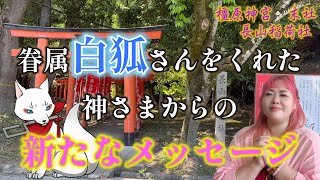 【白狐】神さまが教えてくれた神頼みの本当の理由【お稲荷さん】