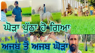 🐎🐎ਘੋੜੀਆਂ ਦੀ ਦੋੜ ਇੱਕ ਤੋਂ ਇੱਕ ਅੜਬ ਘੋੜਾ ਆਇਆ