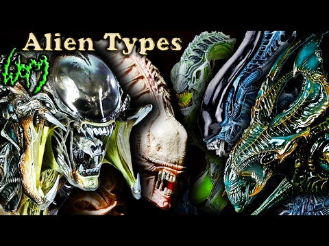 Every Type Of XENOMORPH - ALIEN - YouTube