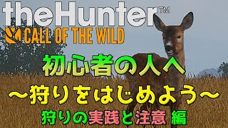 【初心者・駆け出しの人向け】狩りをはじめよう！後編【theHunter:Call of the Wild】