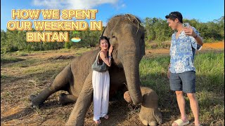 HOW YOU CAN SPEND YOUR WEEKEND IN BINTAN | NICOLE CHOO