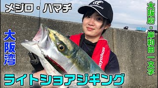 巻くだけでメジロ・ハマチ。大阪湾ライトショアジギング【ガッ釣り関西119】