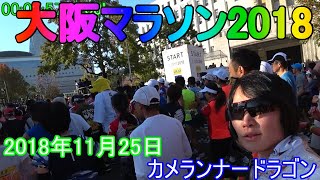 【Part1】第8回大阪マラソン2018【陸上未経験市民ランナー】Osaka marathon 2018【カメランナードラゴン】【コース紹介】