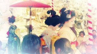 2016北野天満宮･梅花祭･芸舞妓による梅花祭野点大茶湯