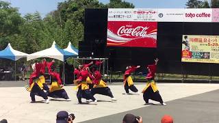 川棚温泉 舞龍祭 周防紅華連