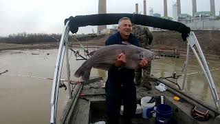 Catching Monster Blue Cats in High Water on the Ohio River