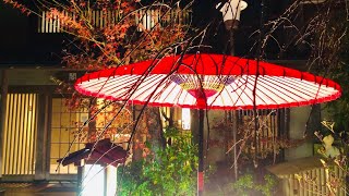 夜の京都嵐山🌉Kyoto Arashiyama in the evening 2024年12月12日