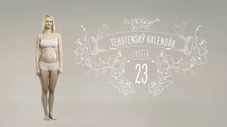 Tehotenský kalendár: 23. týždeň