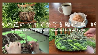 【#9田舎暮らしvlog】アケビのかご作りとシュロのかご作り/シュロの実の収穫/ハンドメイド/バスケット作り/自然と暮らす/暮らしのvlog