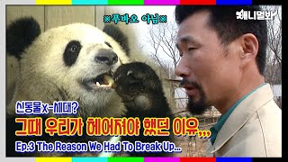 1세대 판다와 강바오 젊은시절 대박(feat.수염) ㅣ[Animals Back In The Day Ep. 3] 1st Generation Panda