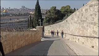 JERUSALEM  Video 15.11.2024