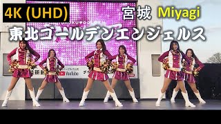 【4K】東北ゴールデンエンジェルス Tohoku Golden Angels