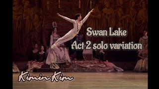 24.11.2020.Swan Lake (Лебединое озеро, 백조의 호수) Kimin Kim(Кимин Ким, 김기민)