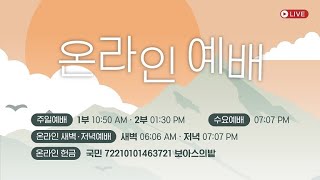 [성문침례교회] 주일 오후예배 생방송 l 보라 사랑과 미움이다 l 말라기 1장 2, 3절 l 이것이 복음이다 (154-1)  (25.01.26)